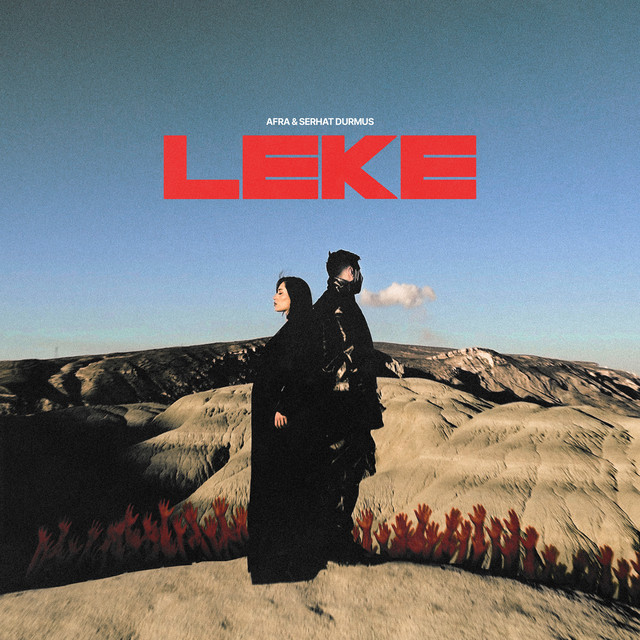 Leke artwork